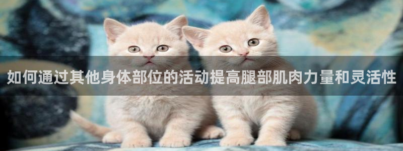 k1体育入口：如何通过其他身体部位的活动提高腿部肌肉力量和灵活性