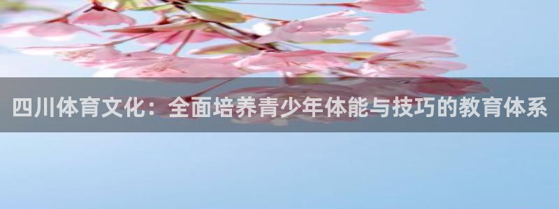k1体育下载地址：四川体育文化：全面培养青少年体能与技巧的教育体系