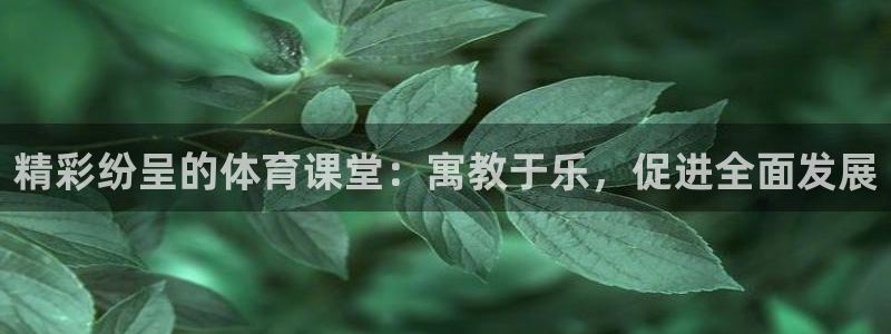 k1体育网站登录官网：精彩纷呈的体育课堂：寓教于乐，促进全面发展