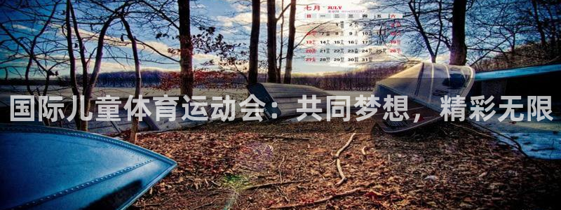k1体育棋牌网址：国际儿童体育运动会：共同梦想，精彩无限