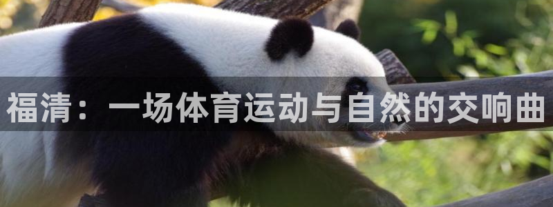 k1体育下载链接：福清：一场体育运动与自然的交响曲