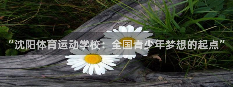 k1体育链接：“沈阳体育运动学校：全国青少年梦想的起点”