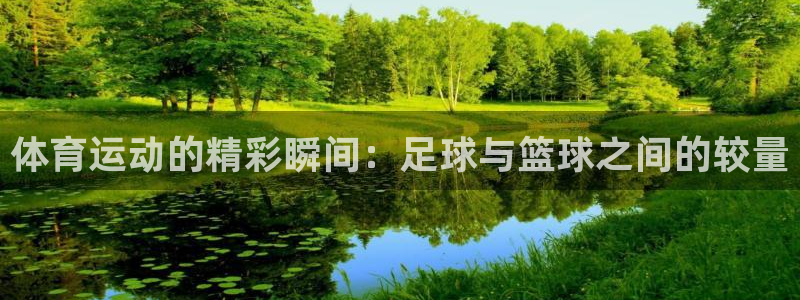 k1体育网站登录官网：体育运动的精彩瞬间：足球与篮球之间的较量