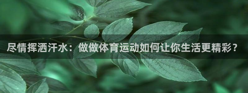 k1体育平台3915：尽情挥洒汗水：做做体育运动如何让你生活更精彩？